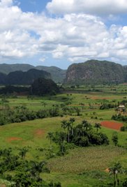 Watch Free Cuba: The Accidental Eden (2010)