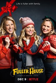 Watch Free Fuller House (TV Series 2016 )